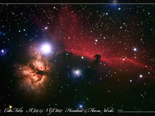 Nebulosa Fiamma e Testa Cavallo